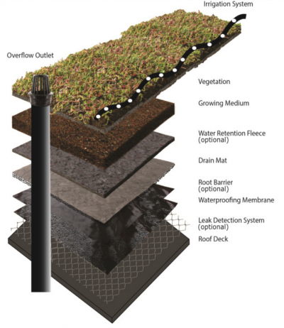 Generalized cross-section view of a green roof showing key components and common layers that make up this LID BMP (TRCA, 2018)[1]