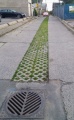 Concrete grid paving.jpg
