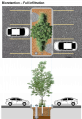 Bioretention Full infiltration placementswap.png