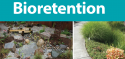 Bioretention.png