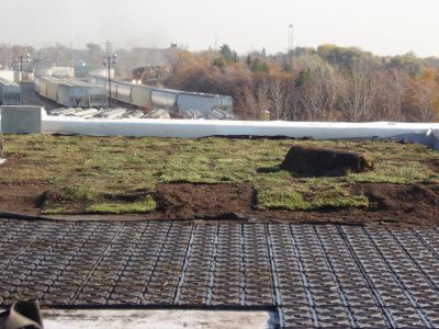 Green roof with all component layers showing